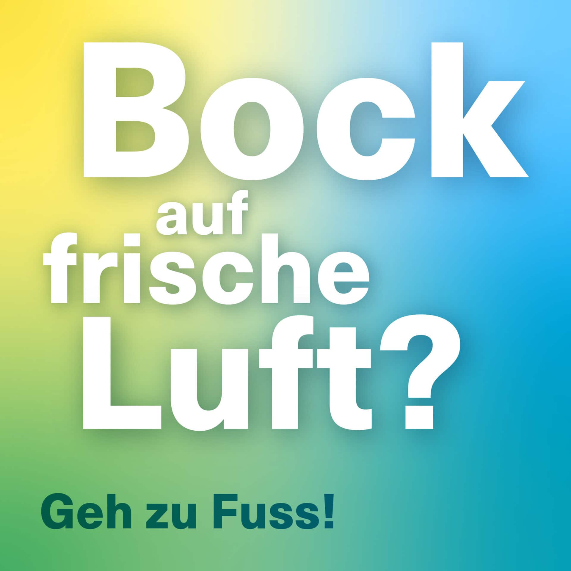 11746slu typo web luft